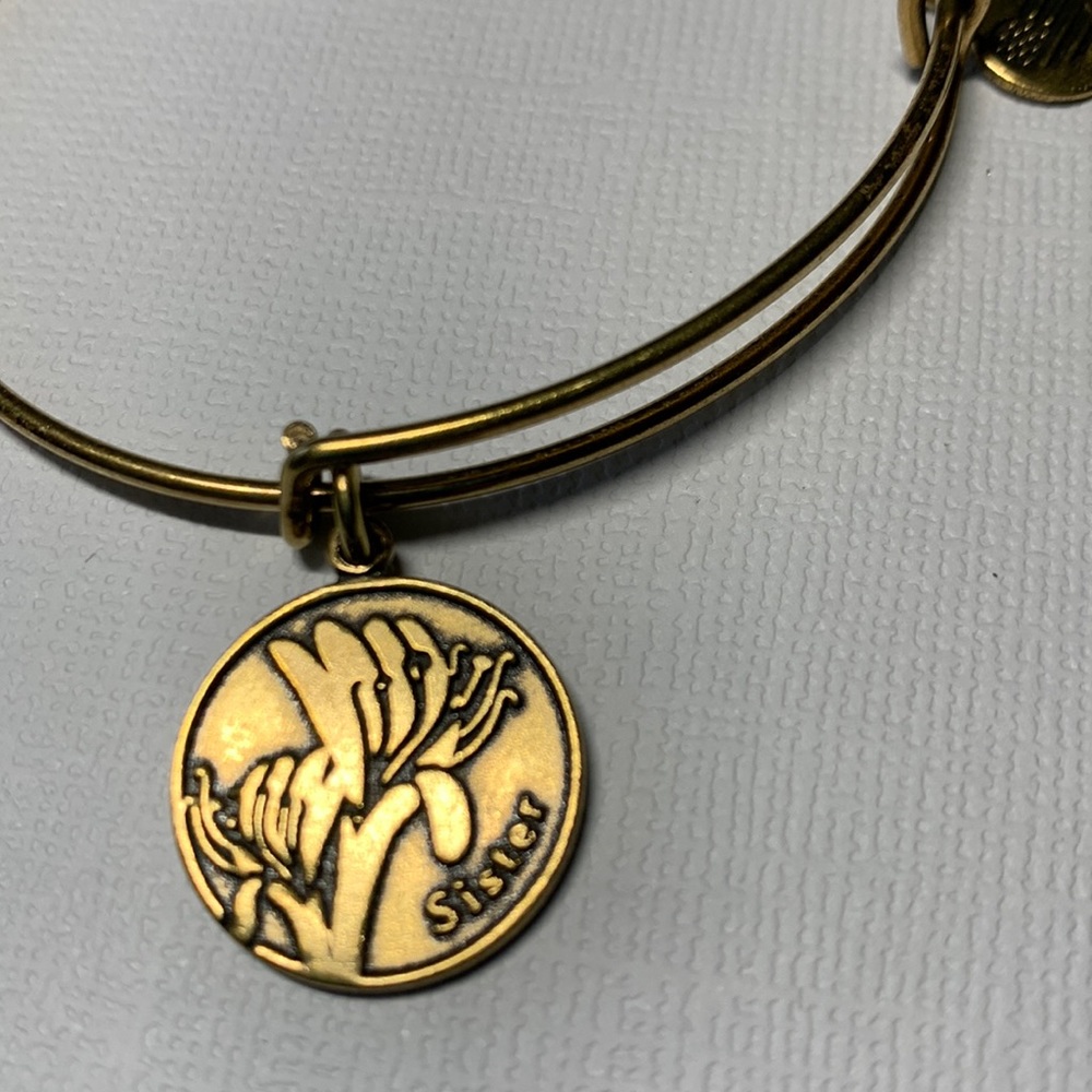 3/$15 Alex and Ani Sister rafaelian gold tone Sister bracelet